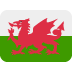 🏴