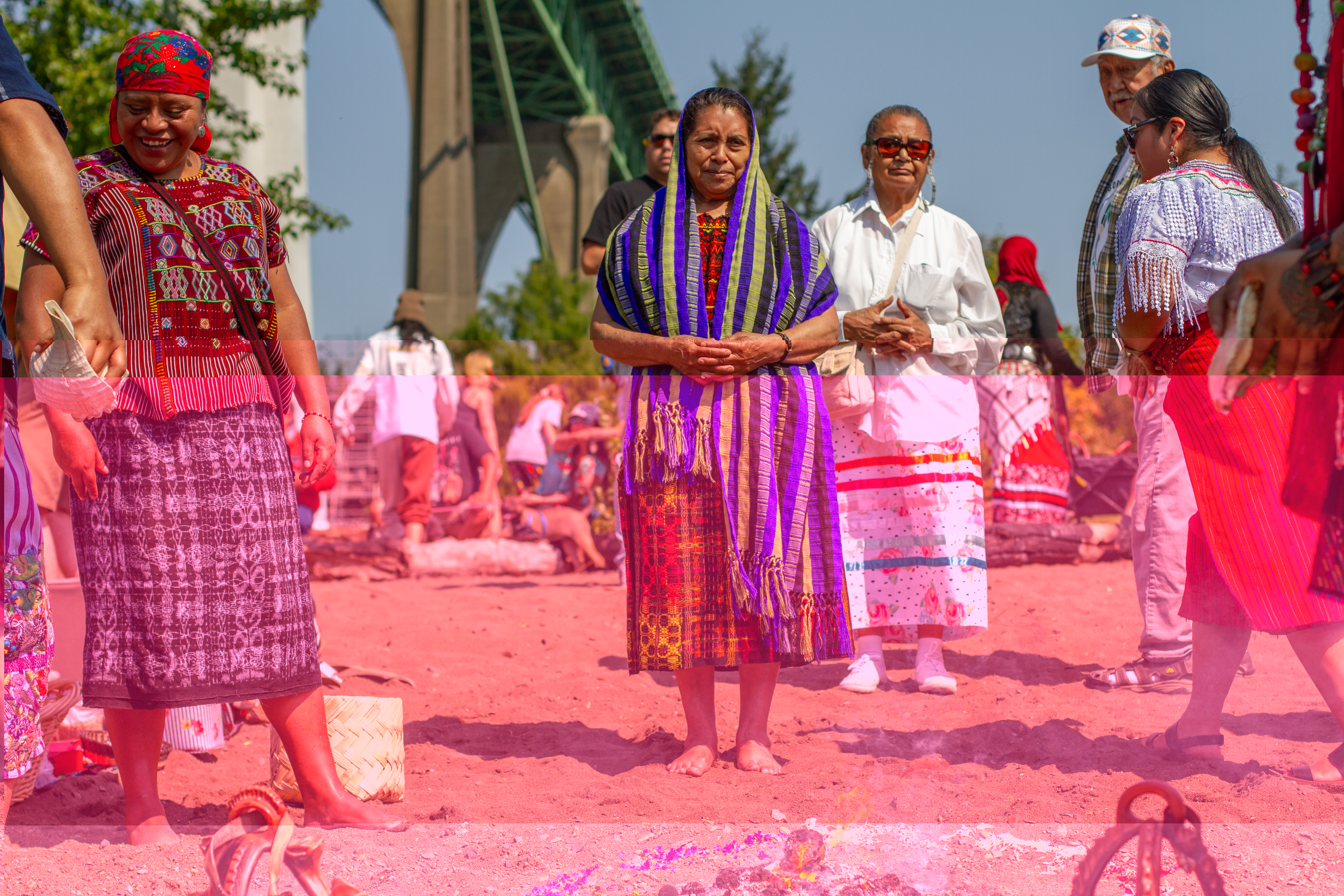 The Year in Photos: 2024