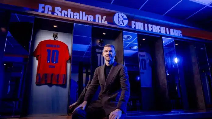 ZVANIČNO: Edin Džeko ima novi klub!